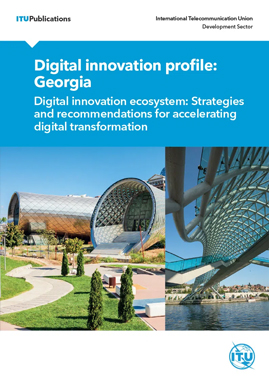 Digital innovation profile – Georgia