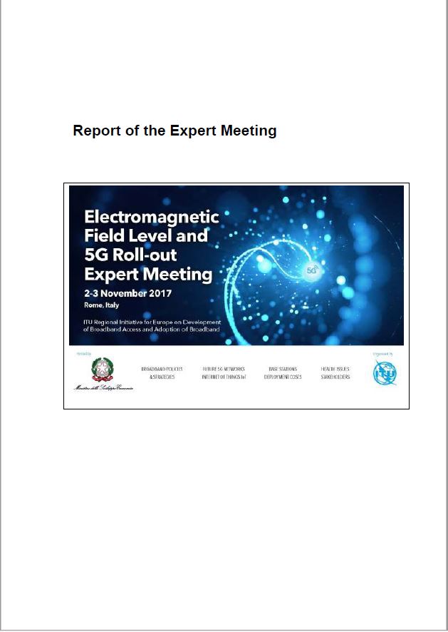 EMF Report.JPG