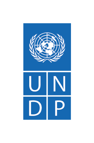 UNDP-Logo-Blue-Medium.png