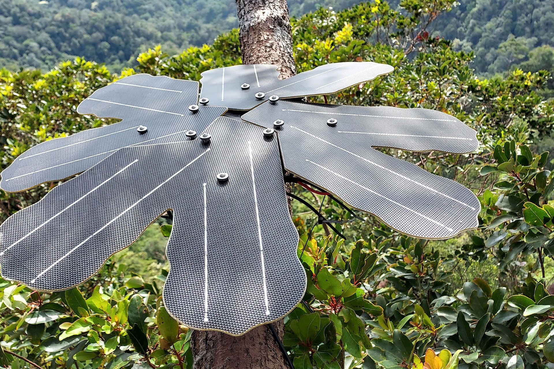 Rainforest Connection: Acoustic monitoring to protect nature featured image