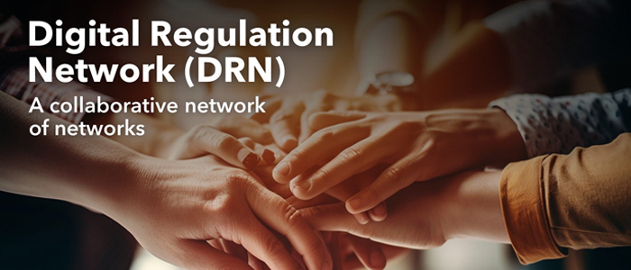 Сеть цифрового регулирования (DRN)