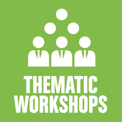 thematic workshops