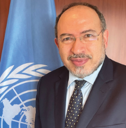 Dr. Dr. Tawfik Jelassi
