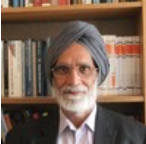 Prof. Karamjit S Gill