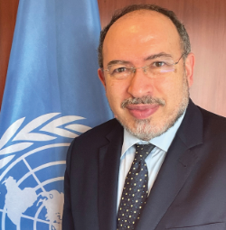 Dr. Tawfik Jelassi (UN REPRESENTATIVE)